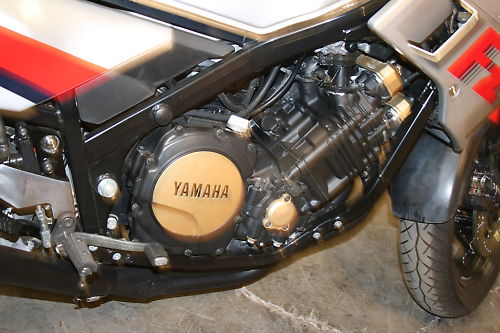fz_8
