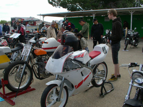 tzr 50 show