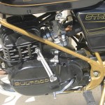 Streaker125_10