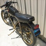 Streaker125_16