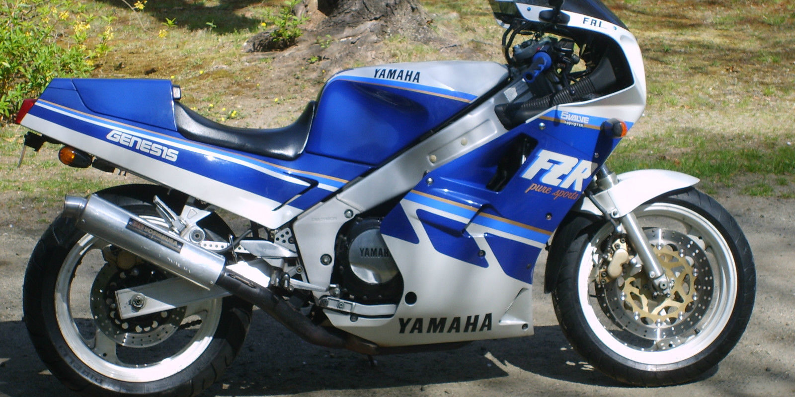 FZR1000_rightside