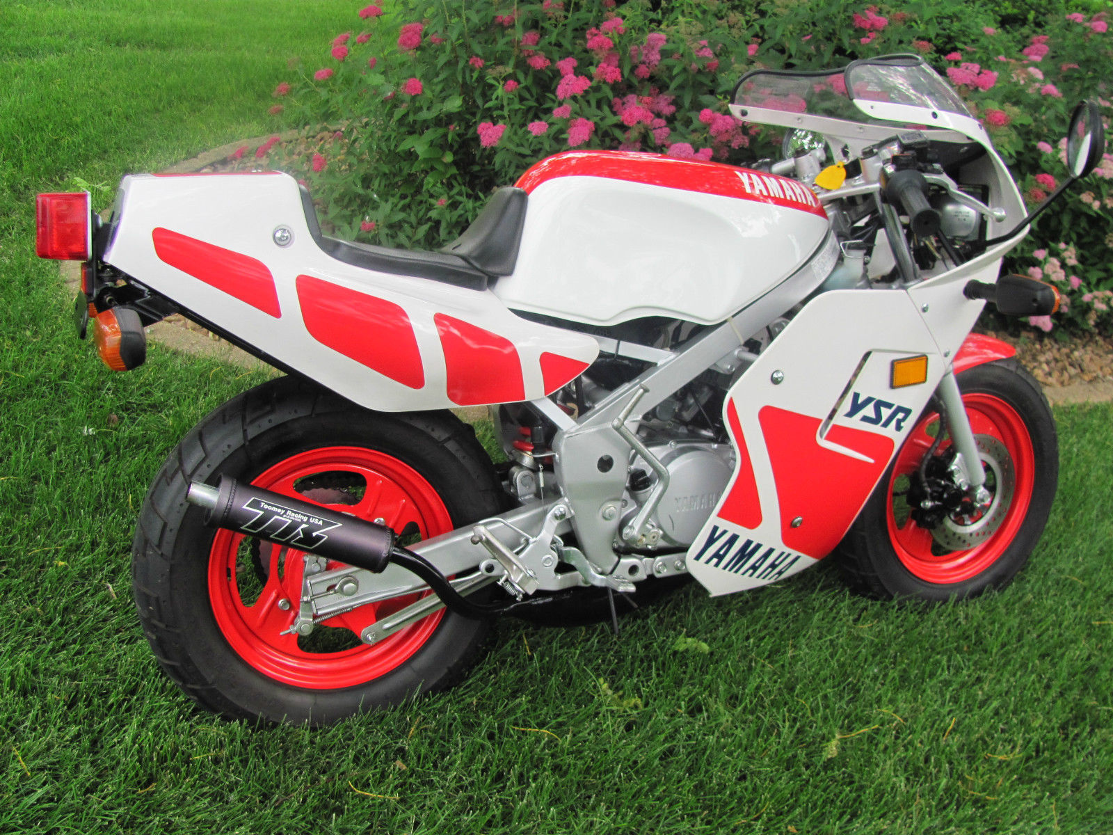 Pocket Rocket - Mint 1987 Yamaha YSR 50 - Rare SportBikes ...