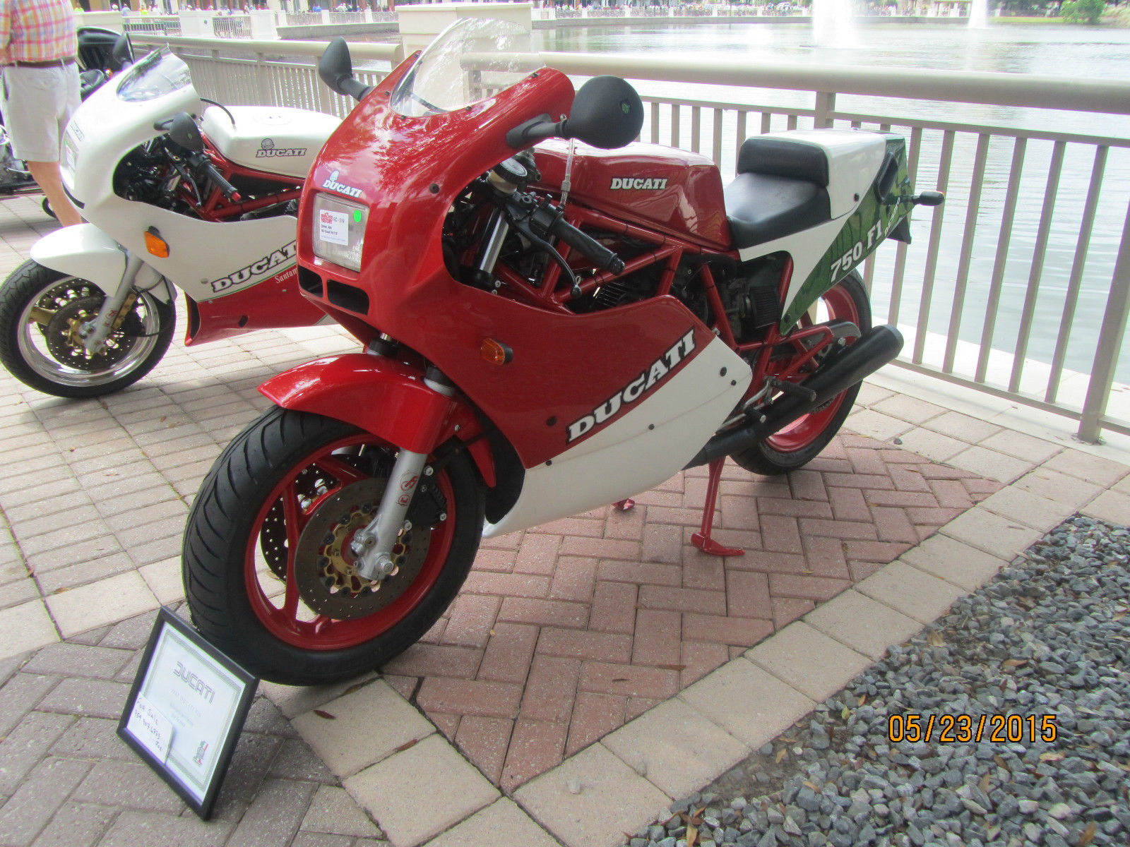 ducati f1 for sale