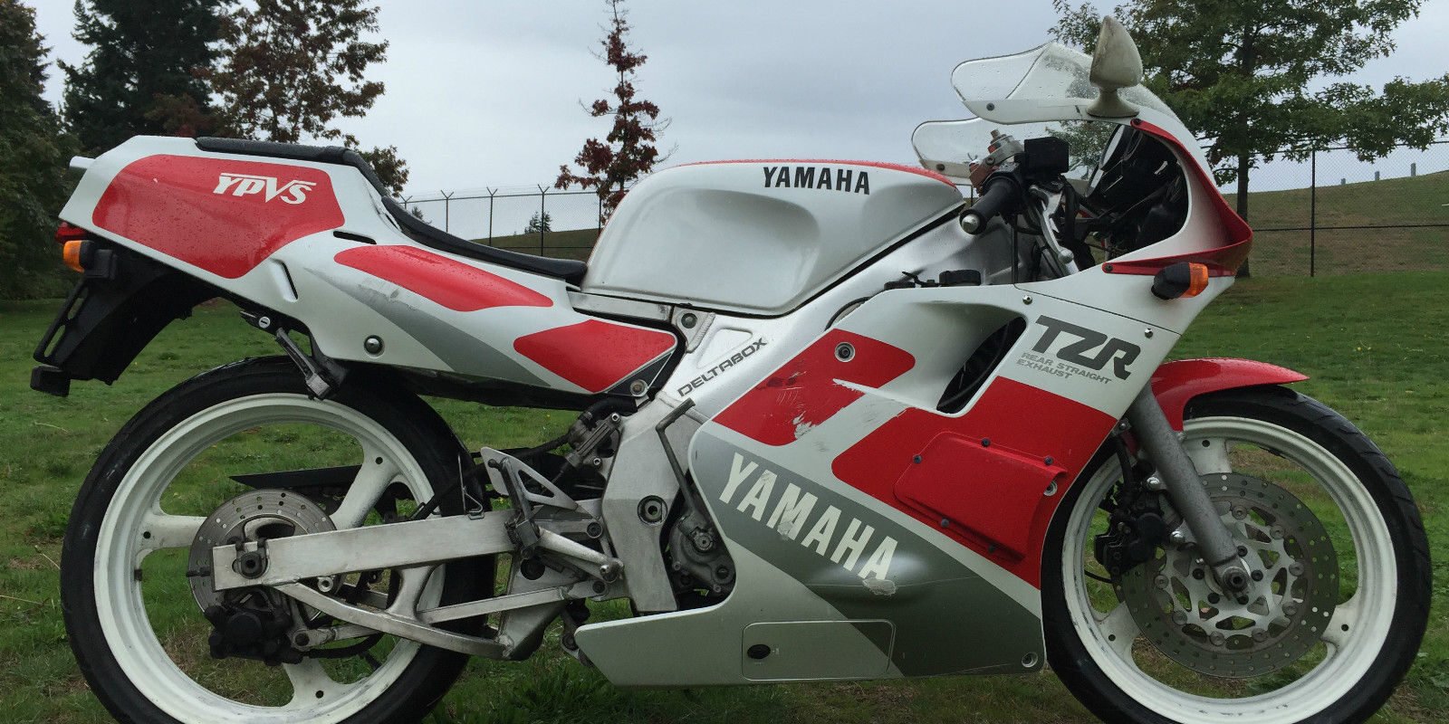 Rare Middle-Child: 1989 Yamaha TZR250 3MA for Sale - Rare 