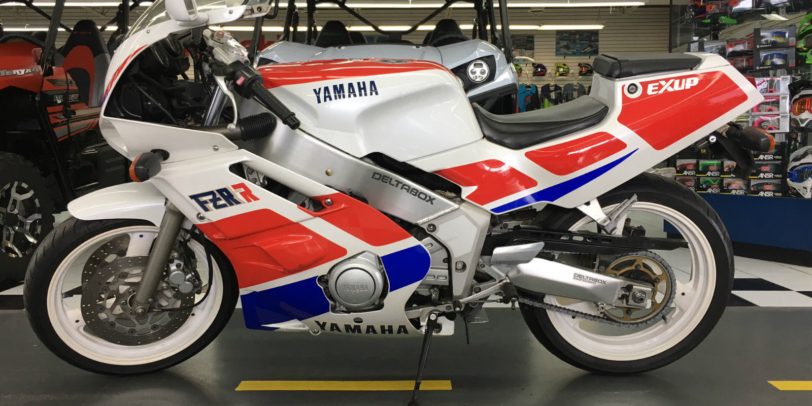 Welterweight: 1989 Yamaha FZR400R - Rare SportBikesForSale