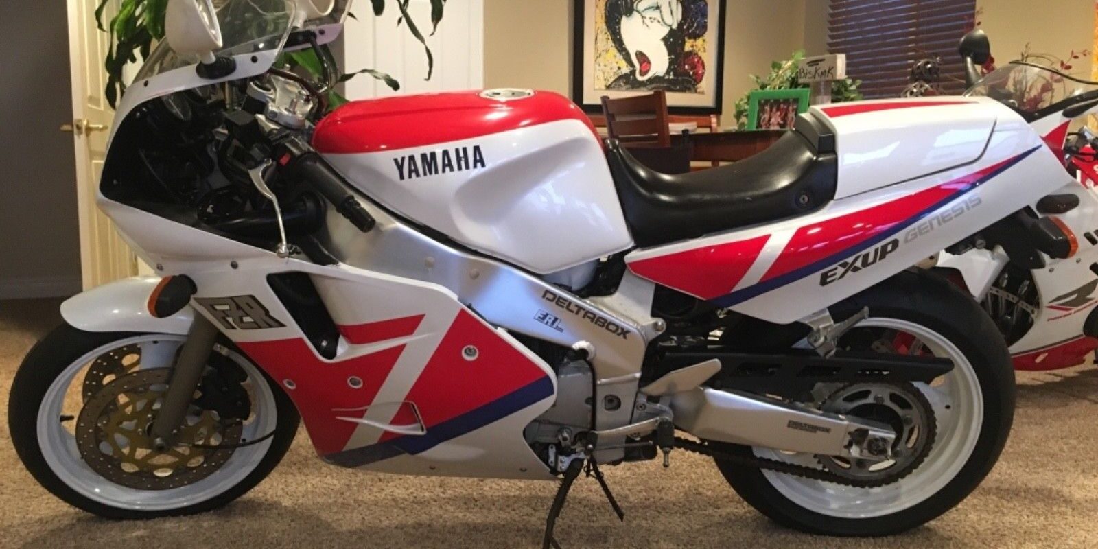 Big Fizz: 1990 Yamaha FZR1000 3GM - Rare SportBikesForSale