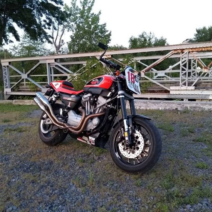 harley xr1200 for sale