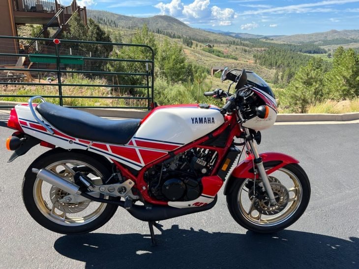 I Love the Smell of Castor Oil in the Morning: 1985 Yamaha RZ350