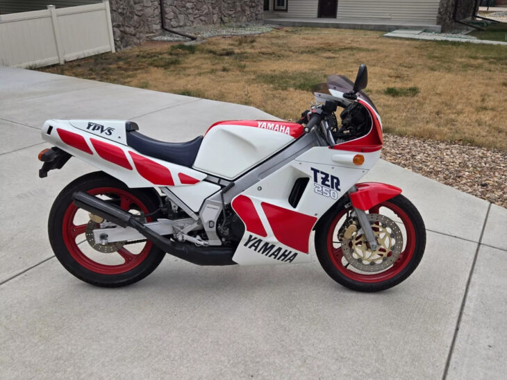 Elemental: 1988 Yamaha TZR250 for Sale on eBay - Rare