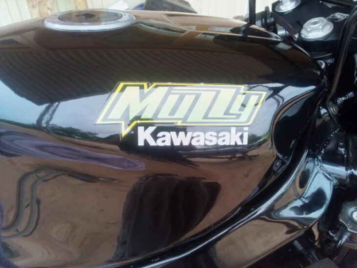 Vicious Predator: 1998 Muzzy Raptor SB-750 [Kawasaki ZX-7R] for