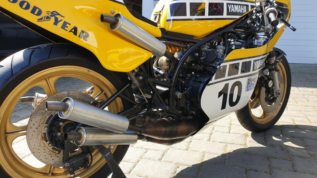 Yamaha TZ500 10